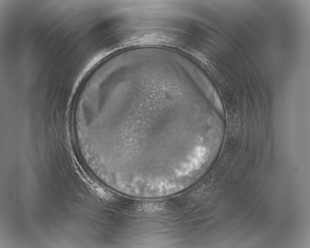 X0000058781086200510171247