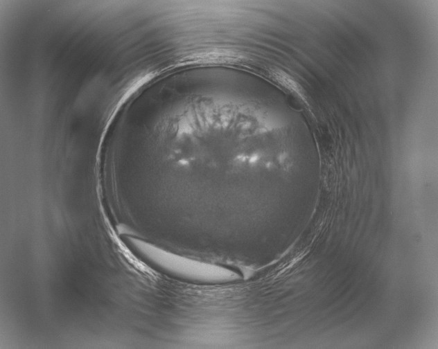 X0000058781087200510171247