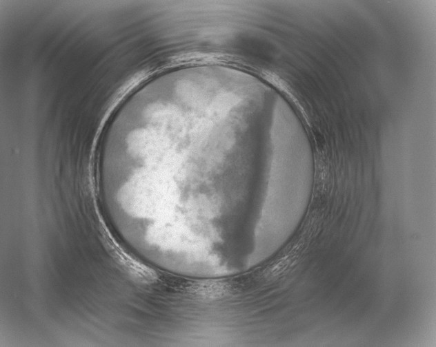 X0000058781090200510171247