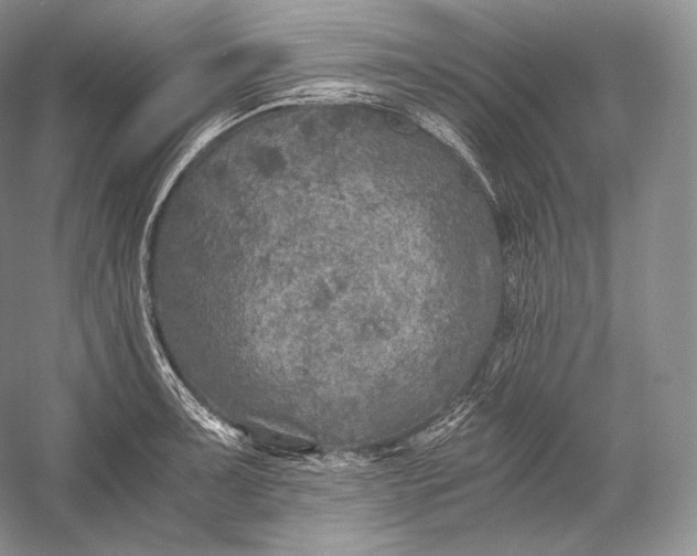 X0000058781091200510171247