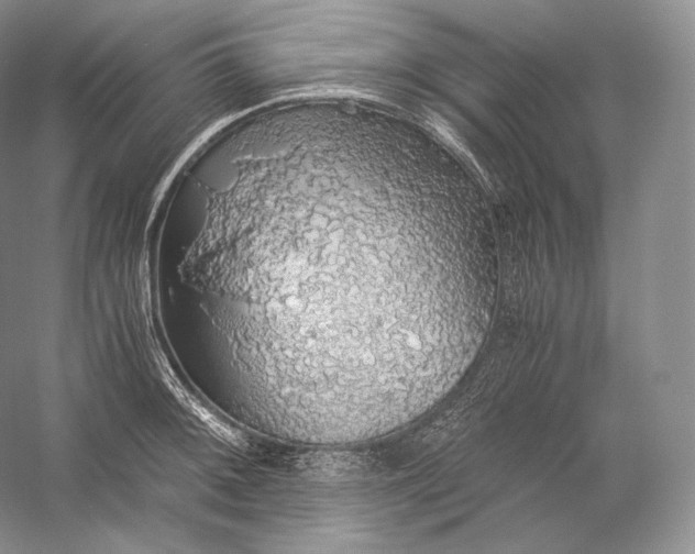 X0000058781092200510171247