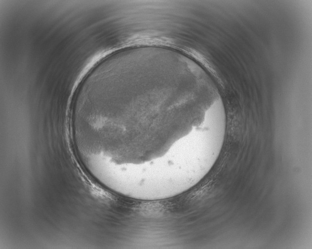 X0000058781094200510171247