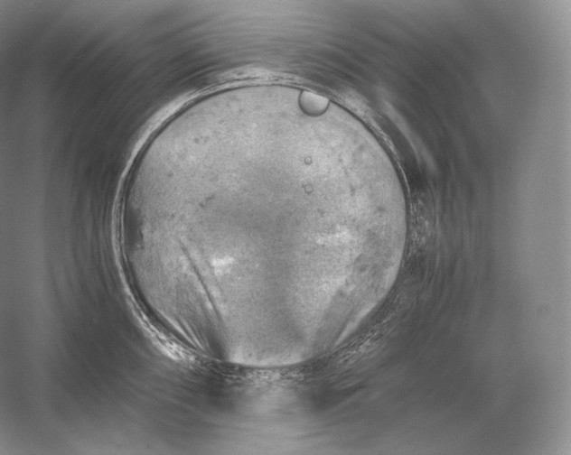 X0000058781098200510171246