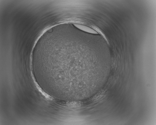 X0000058781099200510171246