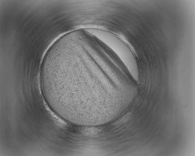 X0000058781100200510171246