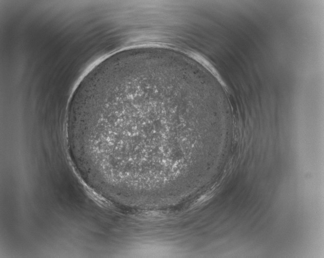 X0000058781101200510171246