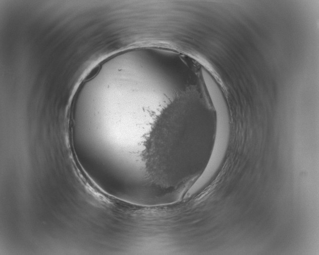 X0000058781102200510171246