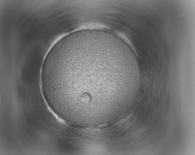 X0000058781103200510171246