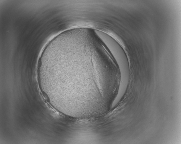 X0000058781104200510171246