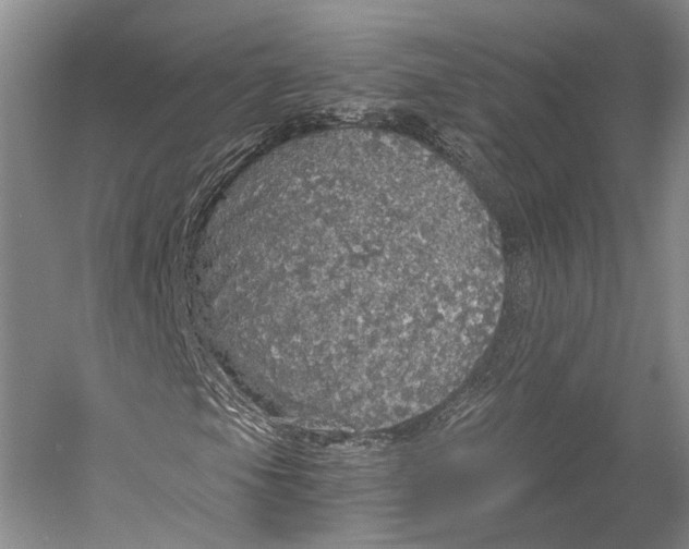 X0000058781105200510171245