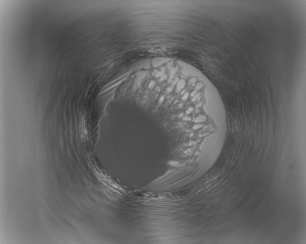 X0000058781106200510171245