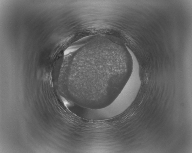 X0000058781108200510171245