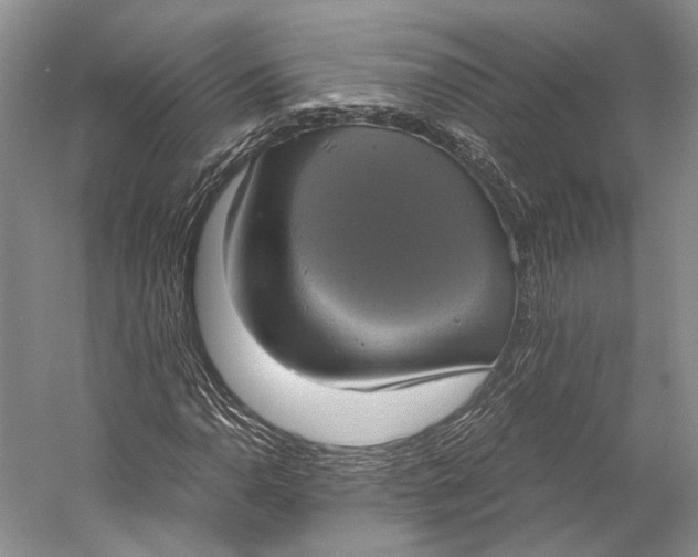 X0000058781110200510171246