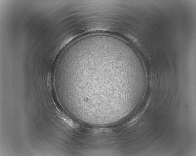 X0000058781113200510171246