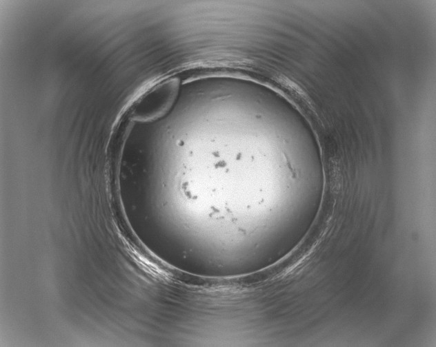 X0000058781114200510171246