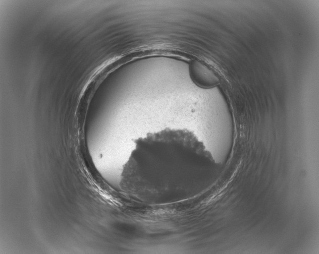 X0000058781117200510171246