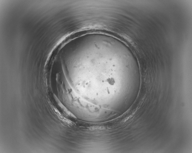 X0000058781118200510171246