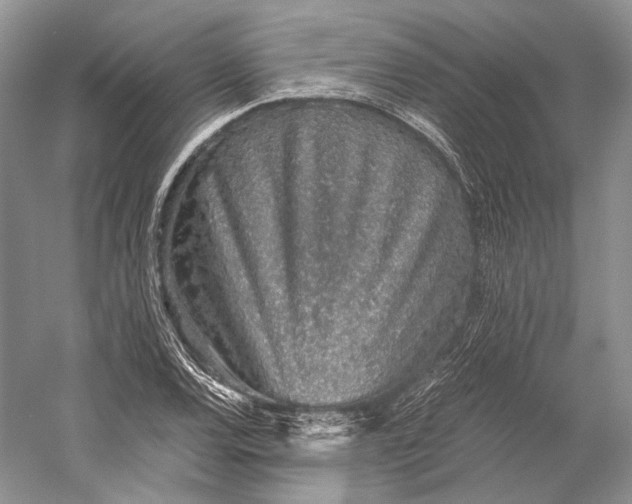 X0000058781120200510171246