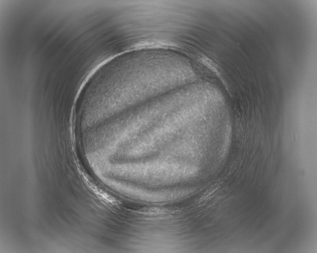 X0000058781124200510171246