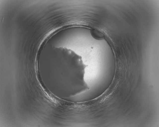 X0000058781125200510171246