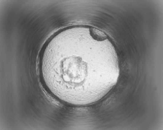 X0000058781126200510171246