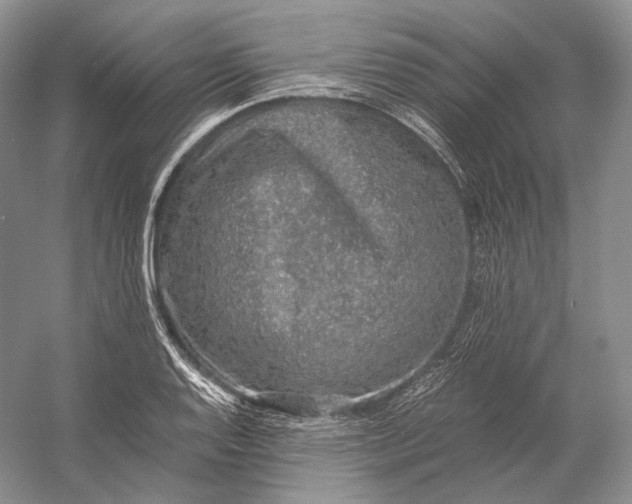 X0000058781128200510171246