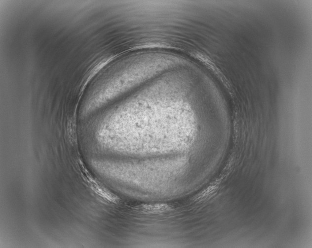 X0000058781129200510171246