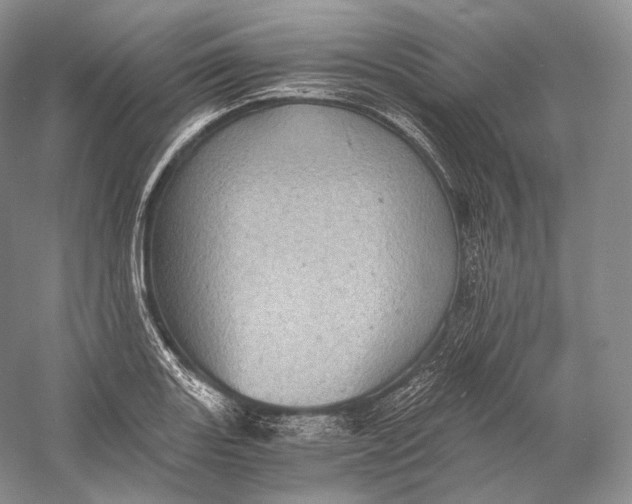 X0000058781131200510171246