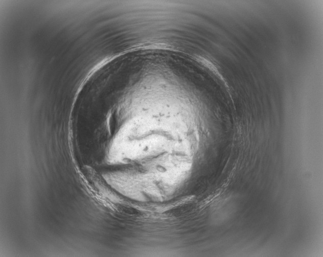 X0000058781133200510171246