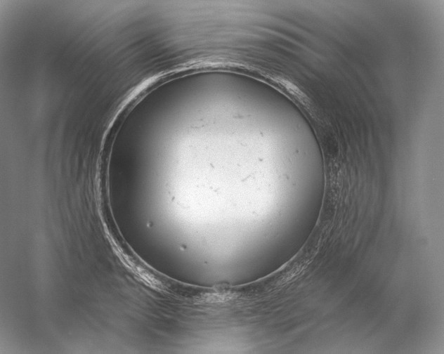 X0000058781134200510171246