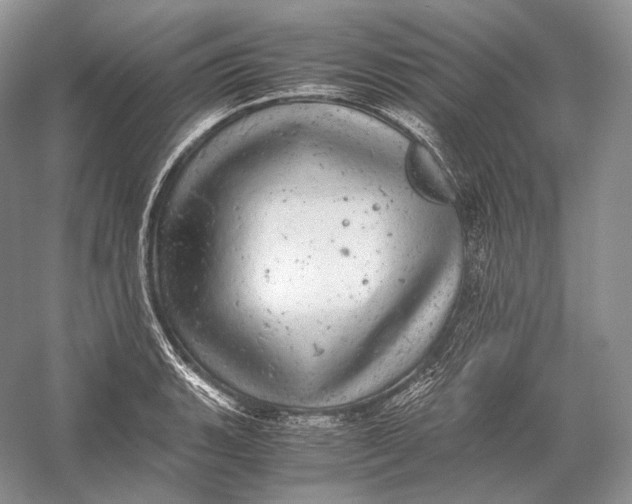 X0000058781135200510171246