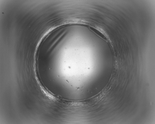 X0000058781136200510171246