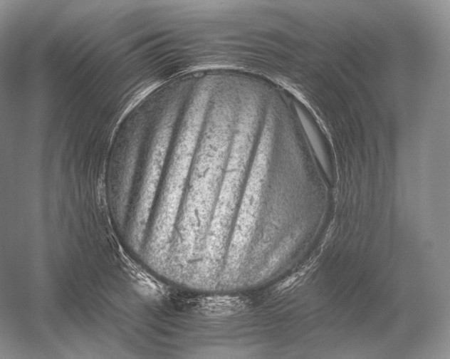 X0000058781137200510171246