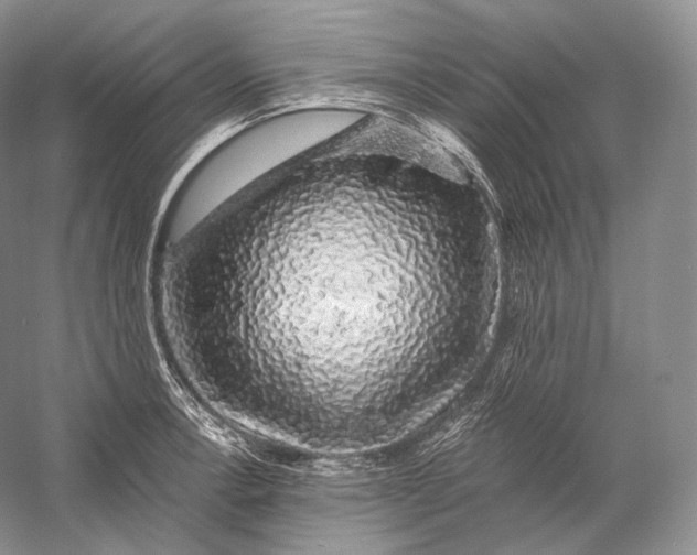 X0000058781138200510171246