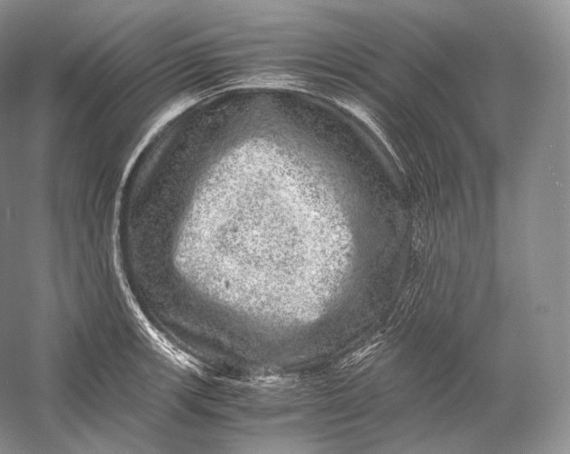 X0000058781139200510171246