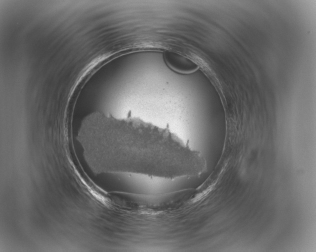 X0000058781141200510171246