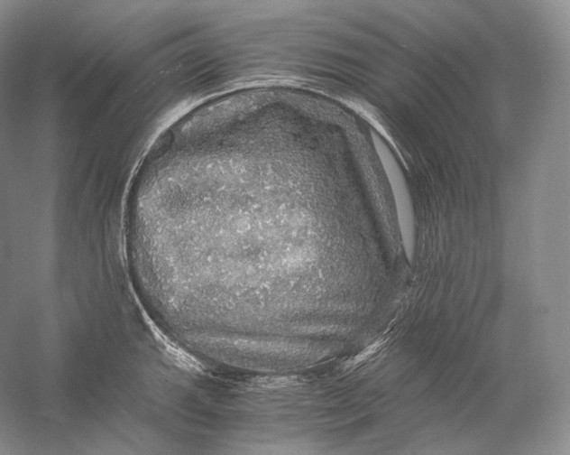 X0000058781143200510171246