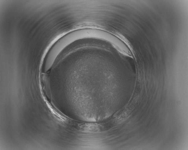 X0000058781144200510171246