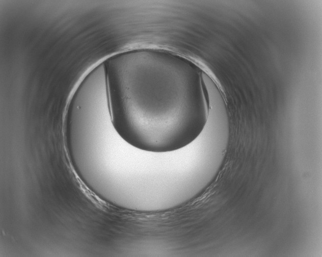 X0000058781148200510171246