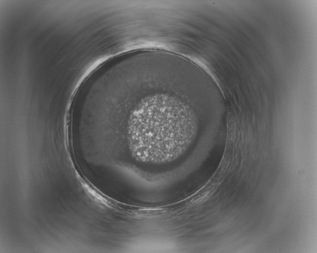 X0000058781151200510171246