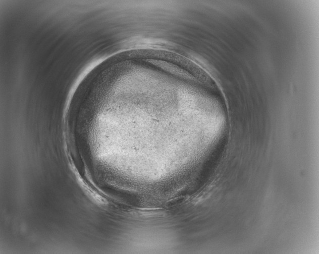 X0000058781152200510171246