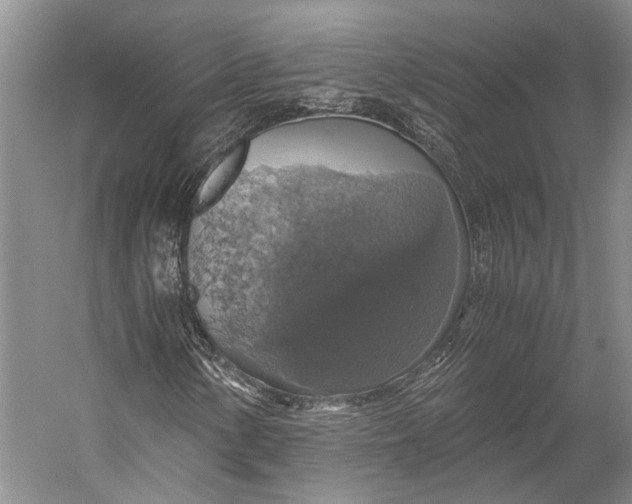 X0000058781154200510171245