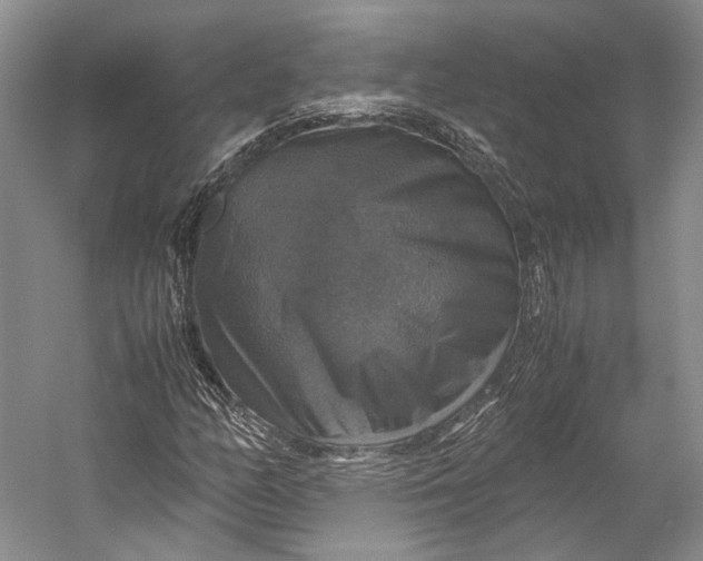 X0000058781158200510171245