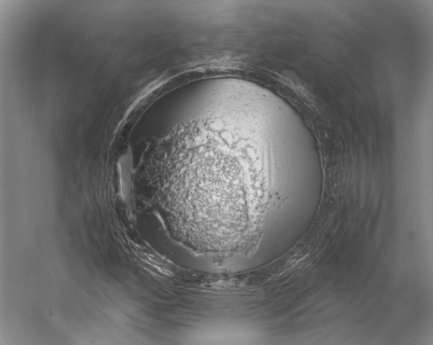 X0000058781160200510171245