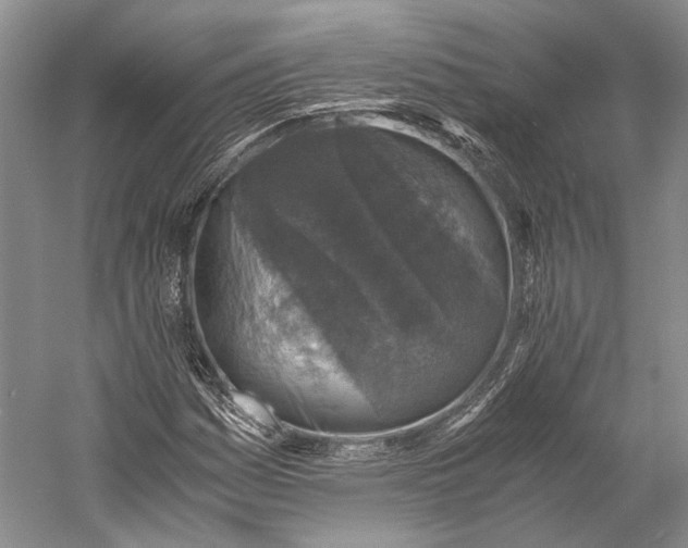 X0000058781161200510171245