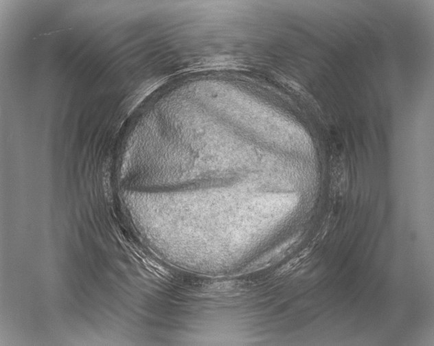 X0000058781162200510171245