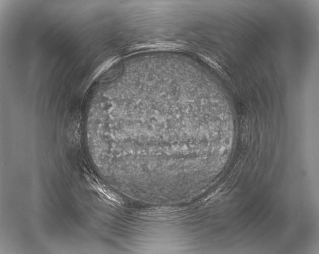 X0000058781163200510171245