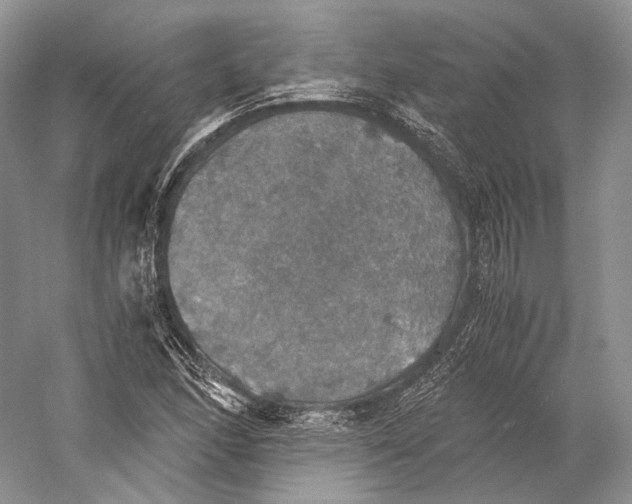 X0000058781166200510171245