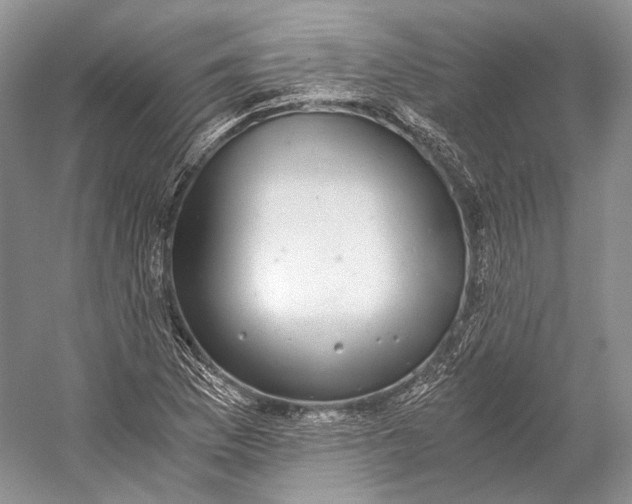 X0000058781169200510171245