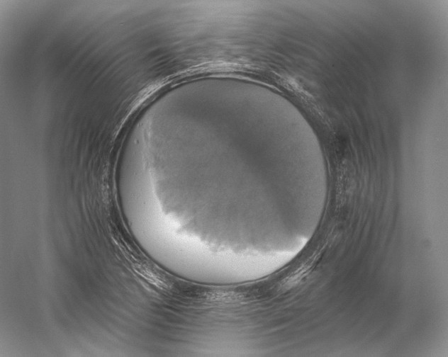 X0000058781170200510171245